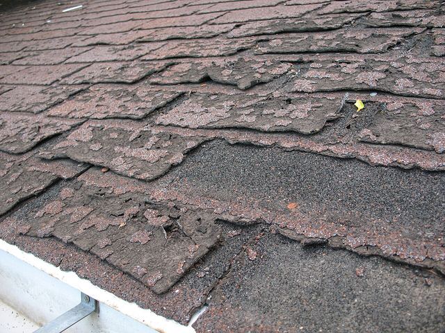 Curled, worn shingles with ragged edges