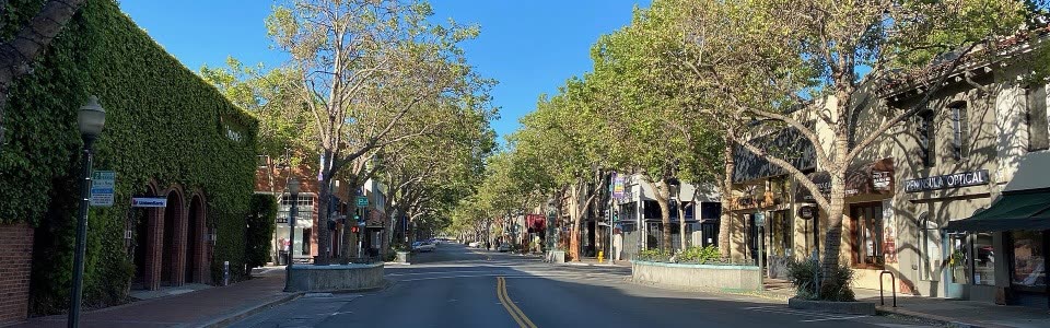 University Avenue at Waverley Street in downtown Palo Alto, tree-lined