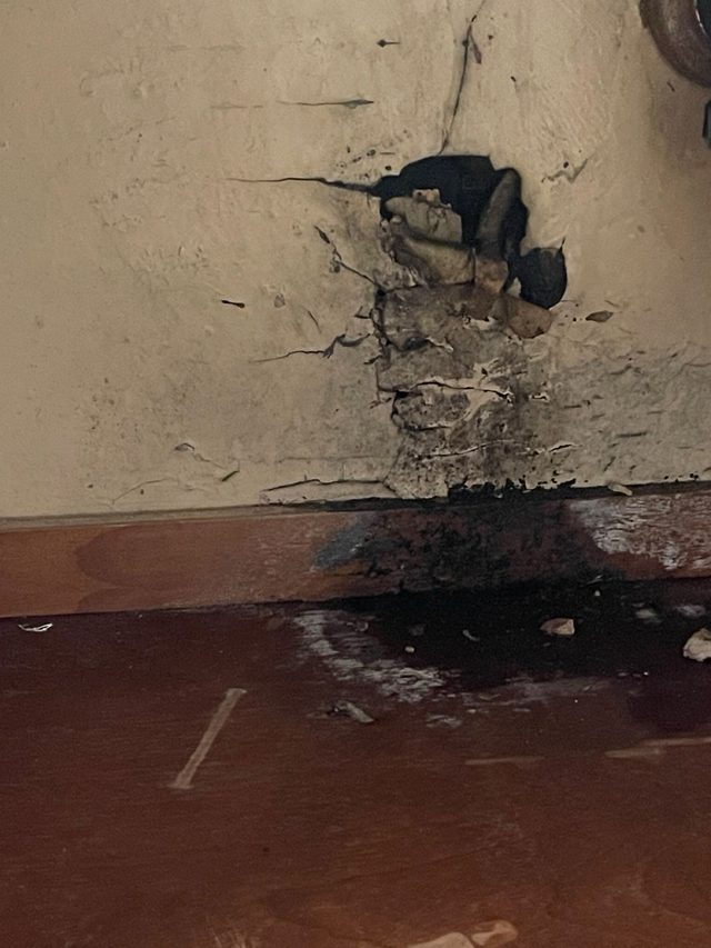 Dark water staining across a subfloor at the base of a wall