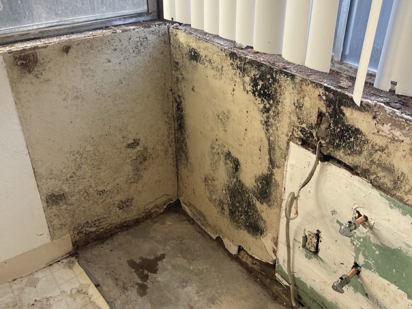 Water damage: mold on drywall with the wall opened for repair